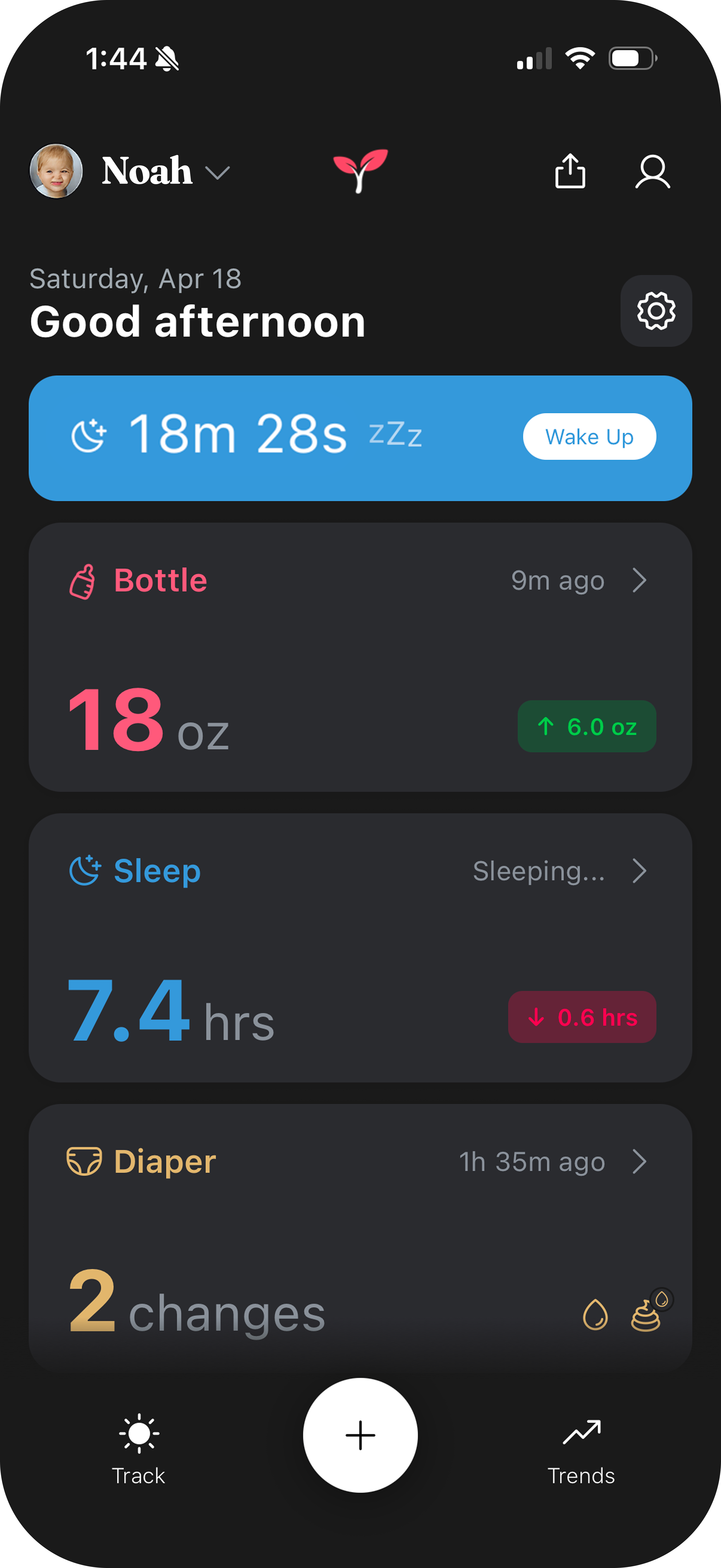 Tiny Tracker app showing daily totals